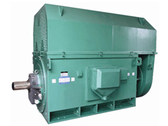 YJTFKK5601-6-900KWYKK系列高压电机